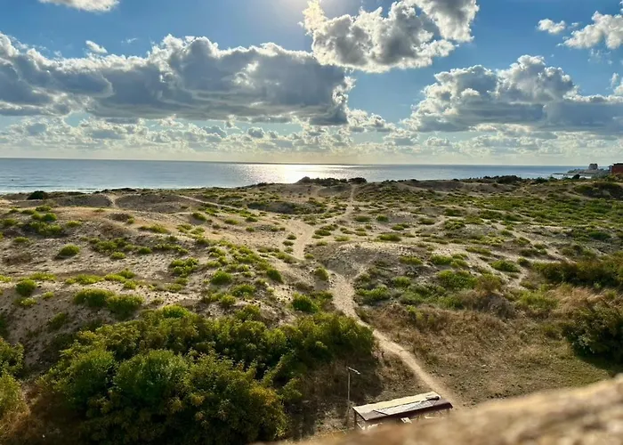 호텔 тропикана 프리모르스코